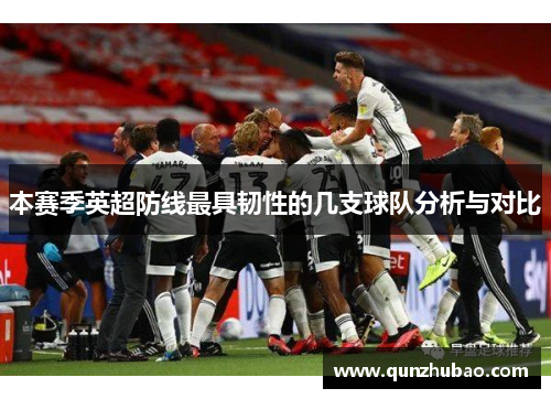 本赛季英超防线最具韧性的几支球队分析与对比