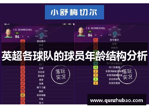 英超各球队的球员年龄结构分析