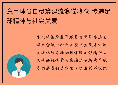 意甲球员自费筹建流浪猫粮仓 传递足球精神与社会关爱