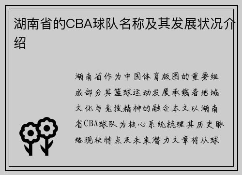 湖南省的CBA球队名称及其发展状况介绍